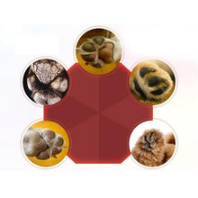 Load image into Gallery viewer, Dog Paw Moisturizer