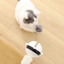 Load image into Gallery viewer, Auto Ball Lifting Cat Toy