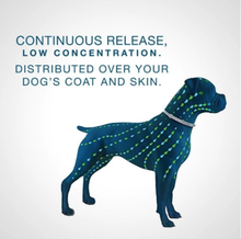 Load image into Gallery viewer, DEWEL™ Flea And Tick Collar For Pets